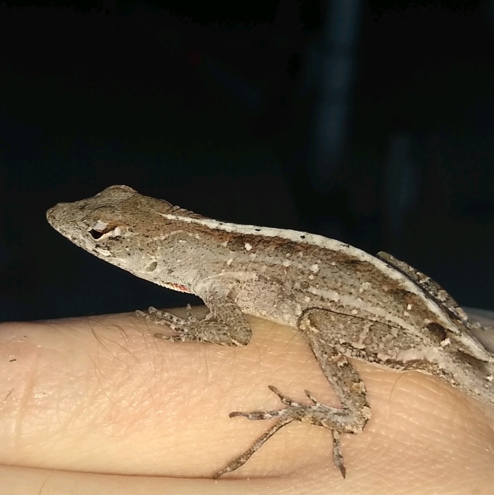 Meet your Posher, Jeydon